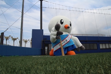 �싅���[��