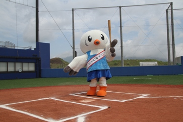 �싅���[��