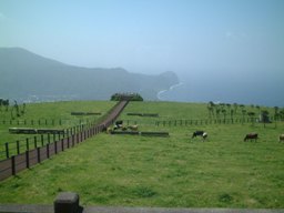 �ӂꂠ���q��