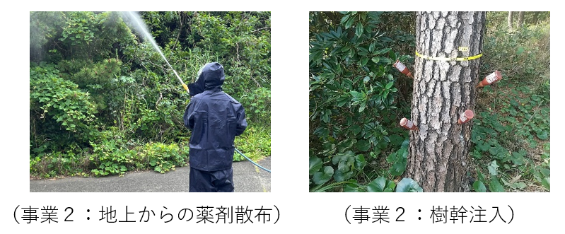 地上からの薬剤散布・樹幹注入